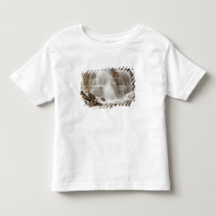 カナダ、ブリティッシュコロンビア州、ヨーホー国立公園 トドラーTシャツ