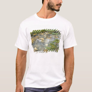 カナダ ブリティッシュコロンビア州 ヨーホー国立公園 4 Tシャツ