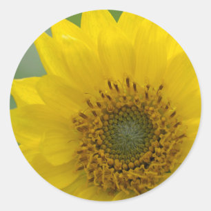 カナダ、ブリティッシュコロンビア、バンクーバーアイランド7 ラウンドシール