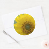 カナダ、ブリティッシュコロンビア、バンクーバーアイランド7 ラウンドシール (封筒)