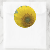 カナダ、ブリティッシュコロンビア、バンクーバーアイランド7 ラウンドシール (バッグ)