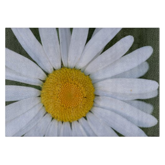 カナダ、ブリティッシュコロンビア、バンクーバーアイランド8 カッティングボード (正面)