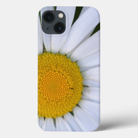 カナダ、ブリティッシュコロンビア、バンクーバーアイランド8 Case-Mate iPhoneケース (裏面)