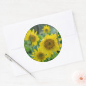 カナダ、ブリティッシュコロンビア、バンクーバー島5 ラウンドシール (封筒)