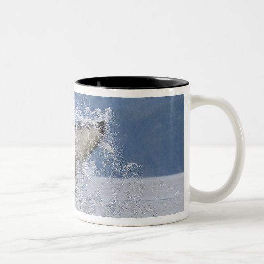 カナダ、ブリティッシュコロンビア、バンクーバー島、 ツートーンマグカップ (右)