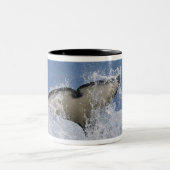 カナダ、ブリティッシュコロンビア、バンクーバー島、 ツートーンマグカップ (中央)