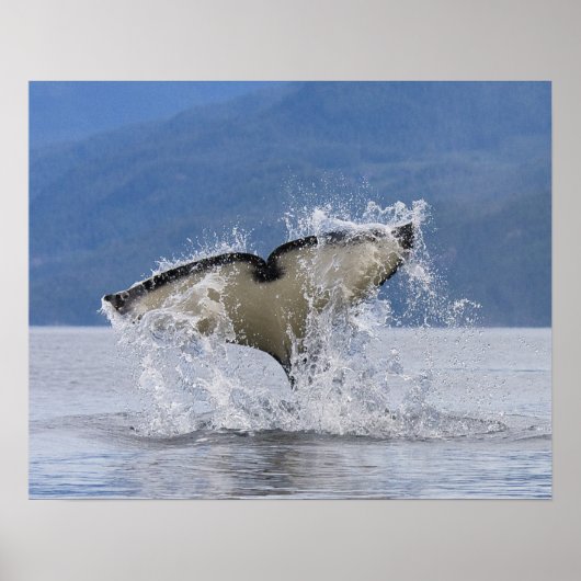 カナダ、ブリティッシュコロンビア、バンクーバー島、 ポスター (正面)