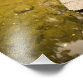 カナダ、ブリティッシュコロンビア、ビクトリア。秋 フォトプリント            (角)