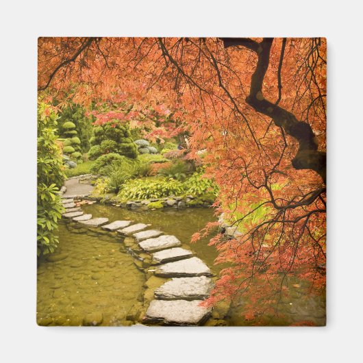 カナダ、ブリティッシュコロンビア、ビクトリア。秋 マグネット (正面)