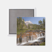 カナダ、ブリティッシュコロンビア、ヨホ国立公園。2 マグネット (正面/裏面)