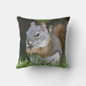 カナダ、ブリティッシュコロンビア、レッドリス・パイン クッション (裏面)