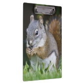 カナダ、ブリティッシュコロンビア、レッドリス・パイン クリップボード (右)