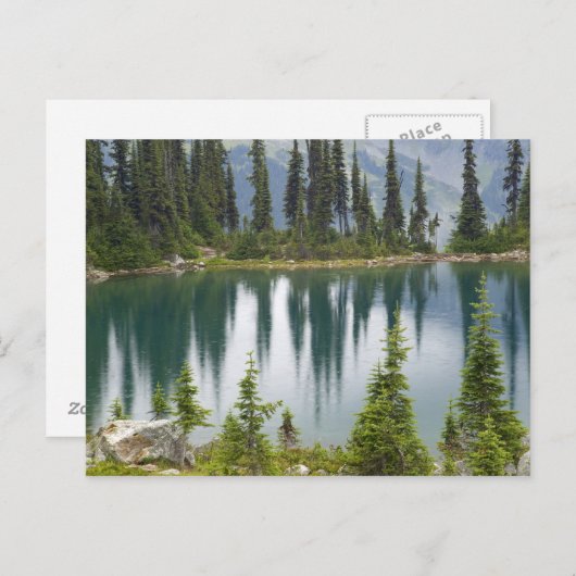 カナダ、ブリティッシュコロンビア、レベルストークナショナル ポストカード (正面/裏面)