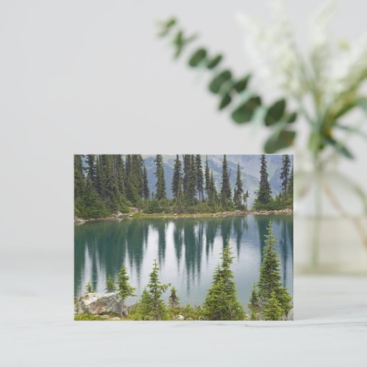 カナダ、ブリティッシュコロンビア、レベルストークナショナル ポストカード (スタンド正面)