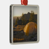 カナダ、ブリティッシュコロンビア、大聖堂州区 メタルオーナメント (右)