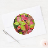 カナダ、ブリティッシュコロンビア、山ロブソン ラウンドシール (封筒)