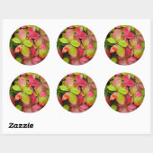 カナダ、ブリティッシュコロンビア、山ロブソン ラウンドシール (シート)