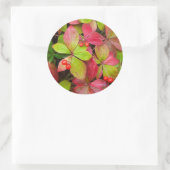 カナダ、ブリティッシュコロンビア、山ロブソン ラウンドシール (バッグ)