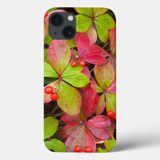 カナダ、ブリティッシュコロンビア、山ロブソン Case-Mate iPhoneケース (裏面)