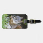 カナダ、ブリティッシュ・コロンビアのアカリスのマツ ラゲッジタグ (正面横)