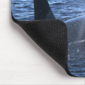 カナダ、ブリティッシュ・コロンビア、ジョンストン・ストレート、 マウスパッド (コーナー)