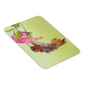 カナダ、ブリティッシュ・コロンビア、ルフス・ハミングバード マグネット (右側)