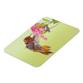 カナダ、ブリティッシュ・コロンビア、ルフス・ハミングバード マグネット (左側)