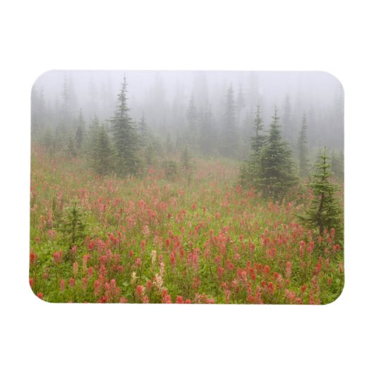 カナダ、ブリティッシュ・コロンビア、レヴェストーク・ナショナル マグネット (横)