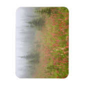 カナダ、ブリティッシュ・コロンビア、レヴェストーク・ナショナル マグネット (縦)