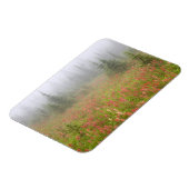 カナダ、ブリティッシュ・コロンビア、レヴェストーク・ナショナル マグネット (左側)