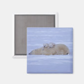 カナダ マグネット (正面/裏面)