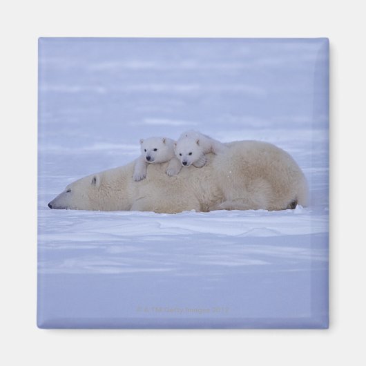 カナダ マグネット (正面)