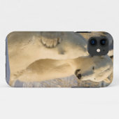 カナダ、マニトバ州、ハドソン湾、チャーチル Case-Mate iPhoneケース (裏面(横))