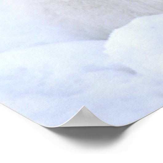 カナダ、マニトバ、チャーチル。~と共に生きるキツネ ポスター (角)