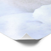 カナダ、マニトバ、チャーチル。北極キツネ フォトプリント (角)