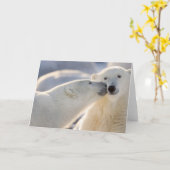 カナダ、マニトバ、ハドソン湾、チャーチル。極 カード (黄色い花)