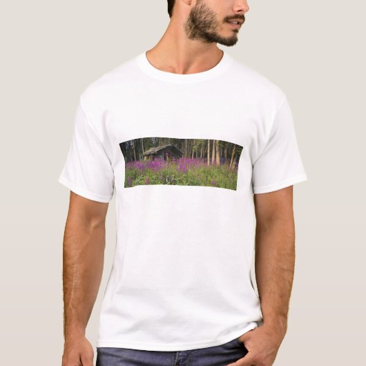 カナダ、ユーコン準州、ロスリバー地域、廃墟となった小屋 Tシャツ (正面)