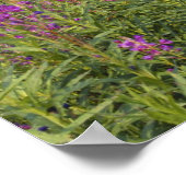 カナダ、ユーコン、ロス川流域、放棄されたキャビン ポスター (角)