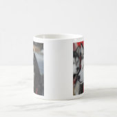 カナダ,レース前のハスキー犬 コーヒーマグカップ (中央)