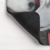 カナダ，レース前のハスキー犬 マウスパッド (コーナー)