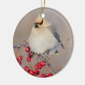 カナダ，冬にボヘミアンのワクウィング セラミックオーナメント (左)