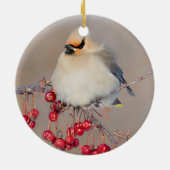 カナダ，冬にボヘミアンのワクウィング セラミックオーナメント (裏面)