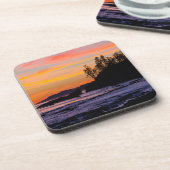 カナダ、太平洋環境国立公園保護区（西部） コースター (左側)