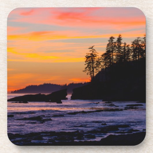 カナダ、太平洋環境国立公園保護区（西部） コースター (正面)