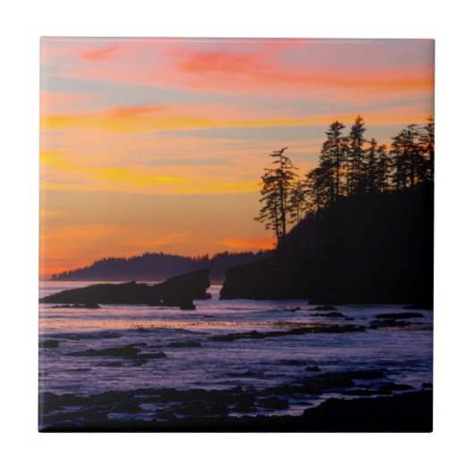 カナダ、太平洋環境国立公園保護区（西部） タイル (正面)