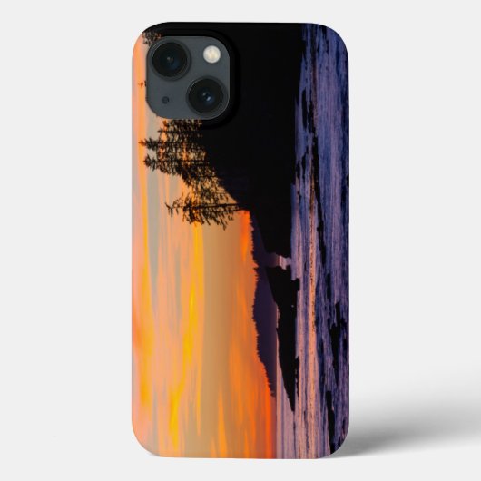 カナダ、太平洋環境国立公園保護区（西部） Case-Mate iPhoneケース (裏面)