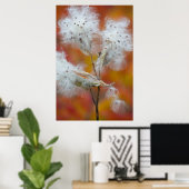 カナダ,秋のミルクウィードの種 ポスター (ホームオフィス)