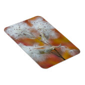 カナダ，秋のミルクウィードの種 マグネット (右側)