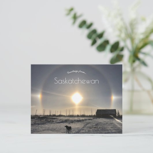 カナダArchydal Saskatchewanの犬と孫犬 ポストカード (スタンド正面)