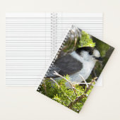 カナダJay自然写真 ノートブック (内側)